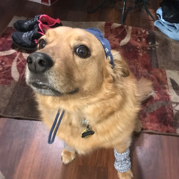 Meet your Posher, Crystal - Picture 1 of 3